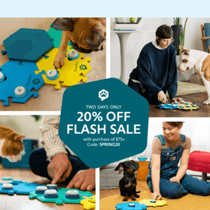 [Spring Flash Sale] Grab 20% Off Today!