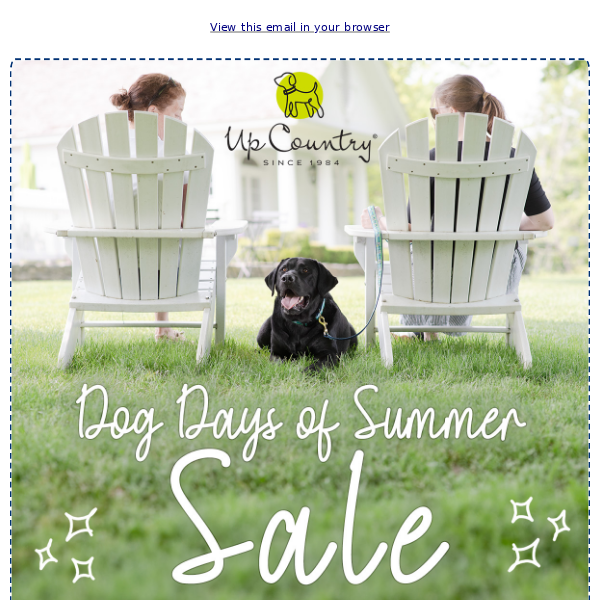 ☀️Dog Days of Summer SALE!