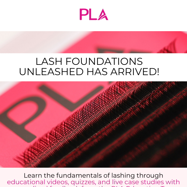 Unleash Your Lash Pro with Lash Foundations Unleashed! ✨