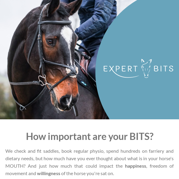 How important is your horses bit? 👌