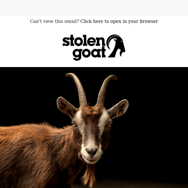 Happy New Year from Stolen Goat! 🐐