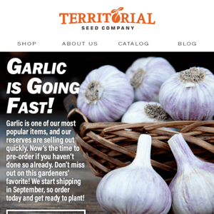 Garlic is Going Fast!