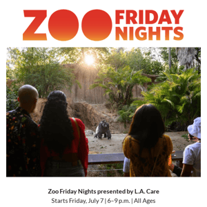 JULY 7: Zoo Friday Nights start! 🌅