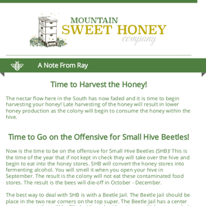Are your hives ready for the summer dearth and robbing?