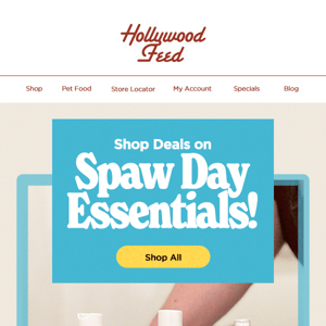 Shop Deals on Spaw Day Essentials! 🧼