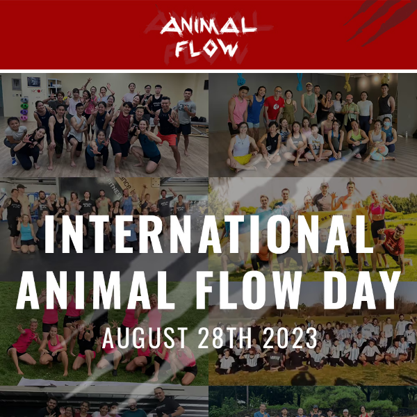 International Animal Flow Day 2023: Global Jam with Mike Fitch