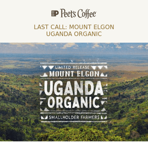 Last Chance ❤️ Mount Elgon Uganda Organic