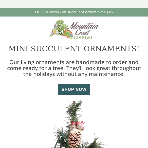 Mini Succulent Ornaments are here! 🎄
