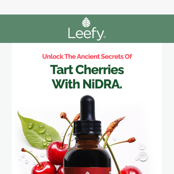 Rejuvenate Your Joints with NiDRA's Tart Cherry Magic! 🍒