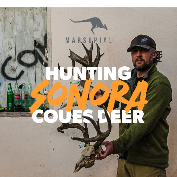 How to hunt Coues deer in Sonora