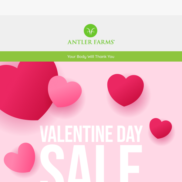 Extended: Valentine’s Day Sale! 💚