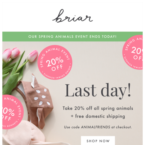 Last Call to Save On Animals 🐻🦨🐰🦌