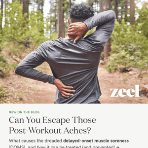 Is There an Antidote to Post-Workout Soreness?