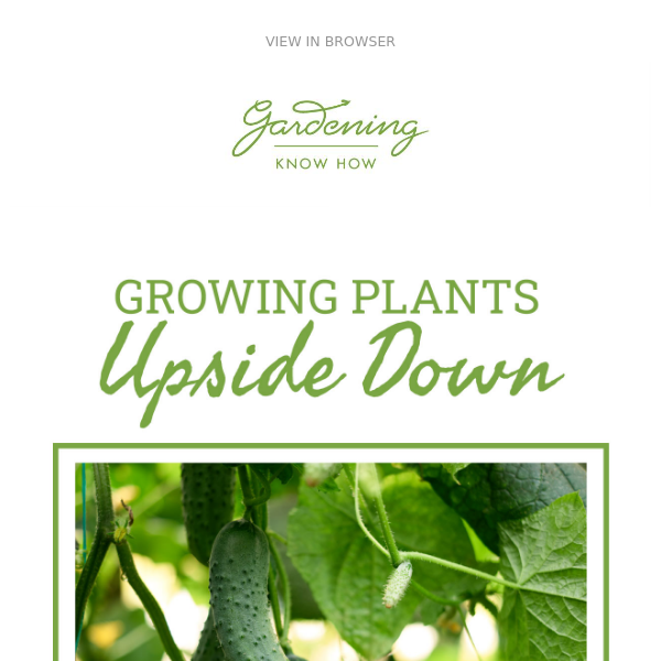 Grow Plants Upside Down + Common Gardening Mistakes + Beneficial Insects 