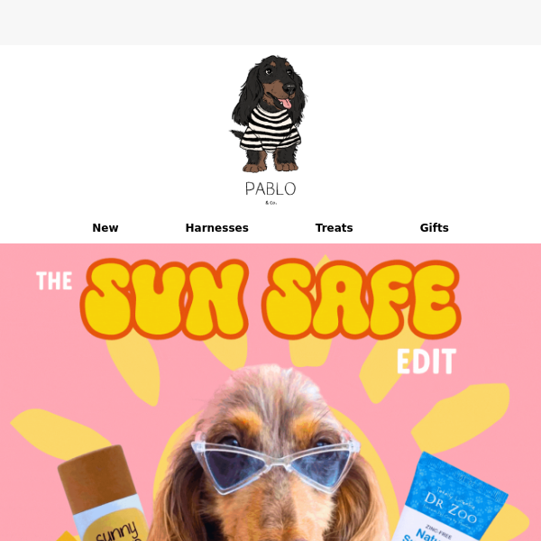 Protect your pet from the SUN! ☀️