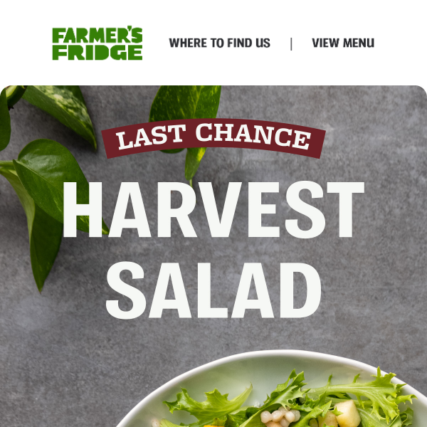 To: Our Harvest Salad Lovers