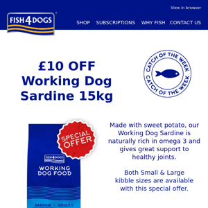 Fish4Dogs Catch of the week - Save £10