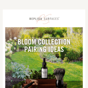 Bloom Surfaces land TOMORROW
