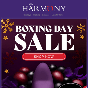 🚨 Up to 60% Off in the Boxing Day Sale 🔥