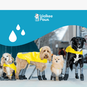 Rain Showers? We've Got Your Pup Covered!