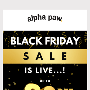 Get your paws on our Black Friday deals!