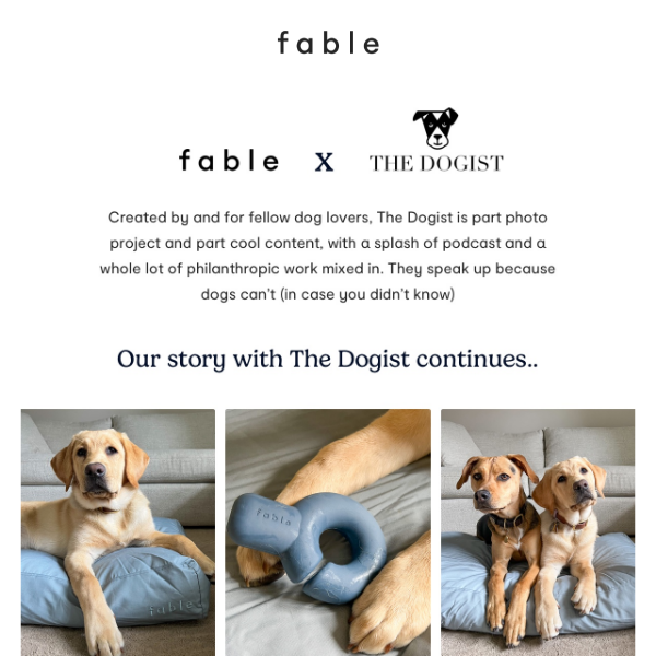 Our story with The Dogist continues