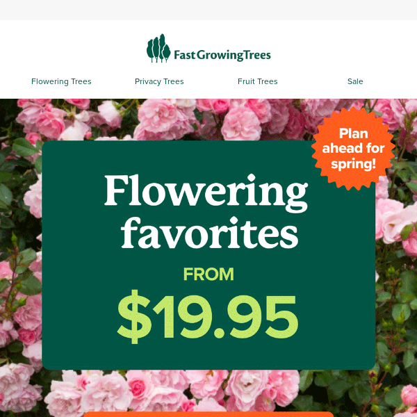 Top flowers at prices you’ll LOVE
