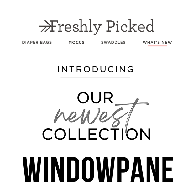 Introducing the Windowpane Collection