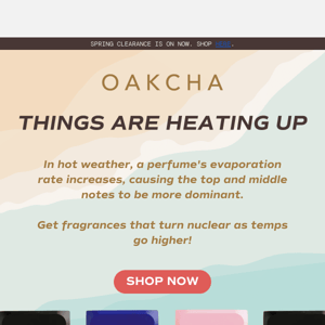 🌞Things are Heating Up at Oakcha