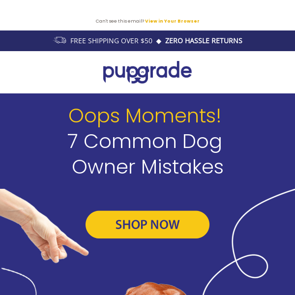 7 Honest Mistakes Every Dog Owner Makes (and How to Fix Them)!