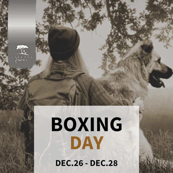 Redeem your Boxing Day deal! The Promo Code is here!