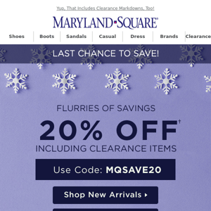 Last Chance To Save 20% Sitewide!