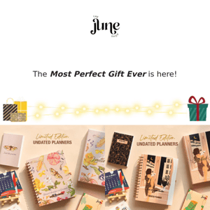 🎁 The 'Perfect Gift' This Holiday Season! 🎁