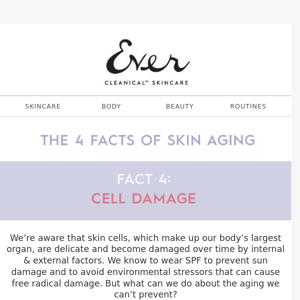 3 Age-Prevention Tips to Combat Cell Damage