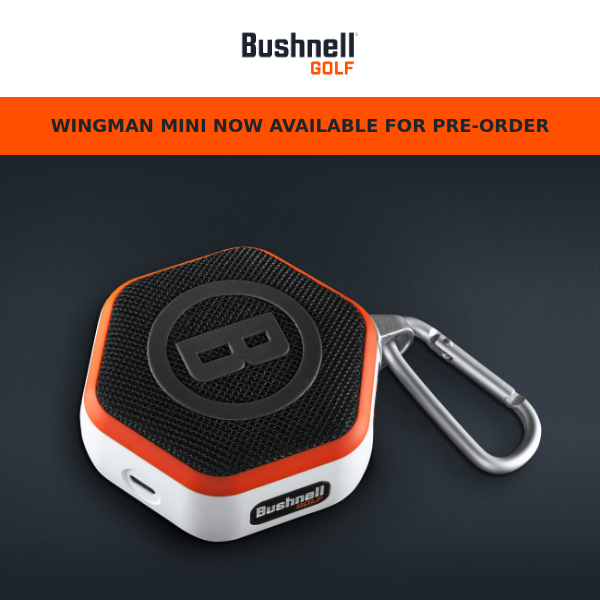 The New Wingman Mini: Now Available for Pre-Order