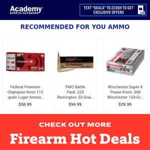 Find Your Ammo at Great Prices