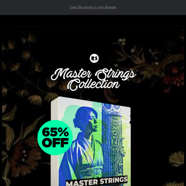 🔥 65% Off Master Strings Collection by Rast Sound!