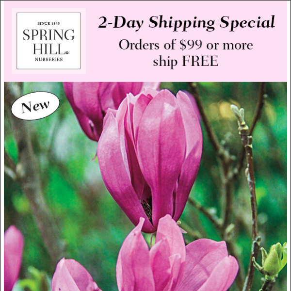 Flowering Trees delivered to your door - Free Shipping Special