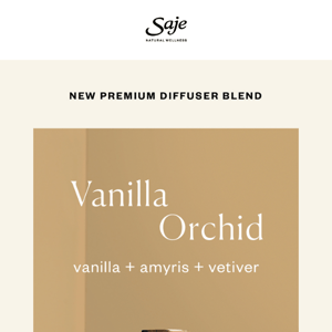 Meet Vanilla Orchid