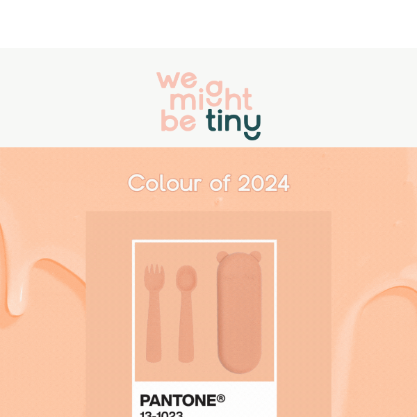 Introducing Dark Peach: Your On-Trend Colour Companion for 2024