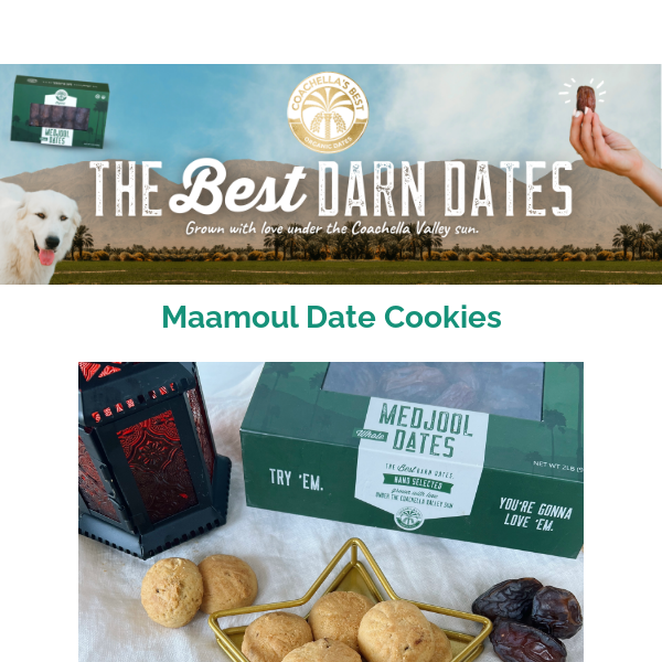 New Recipe: Maamoul Date Cookies🌙