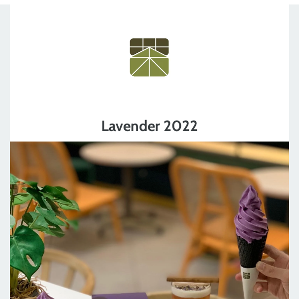 #mysteryinmatchaya: Lavender 2022