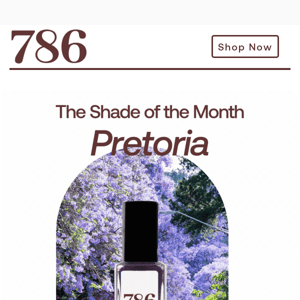 ❄️ Winter is here! We've got the perfect shade for you - Pretoria!