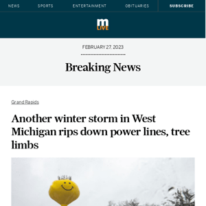 Another winter storm in West Michigan rips down power lines, tree limbs