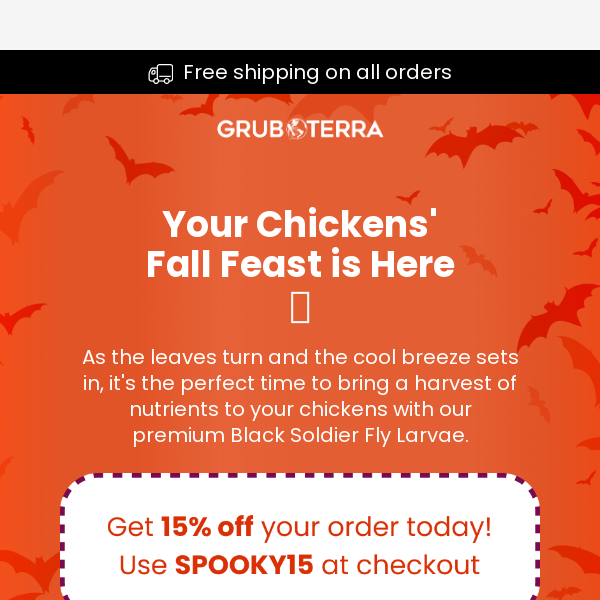 Your Chickens' Fall Feast is Here 🎃
