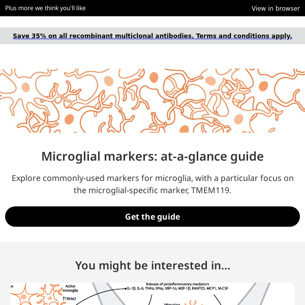 Your at-a-glance guide to microglial markers