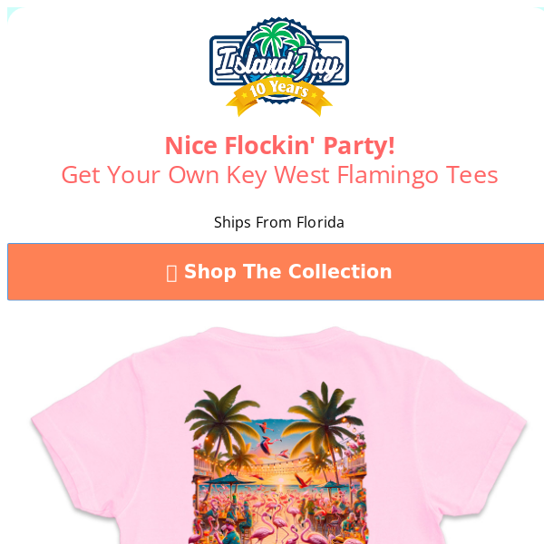 Nice Flockin' Party! 🦩🦩 New Key West Flamingo Party Tees Are Here