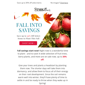 🎉  SALE! Fall Savings Start Now!