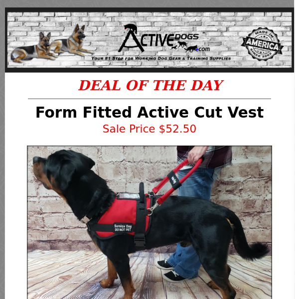 Form Fitted Active Cut Vest - Daily Deal