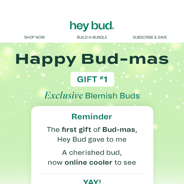 The First GIFT of Bud-mas… 🎁🌲